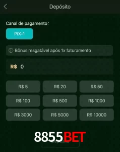 deposits 8855BET